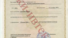 2 ИНН у физического лица: что делать в Светофор