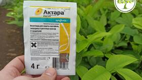 Актара: инструкция по применению и правила разведения в Светофор