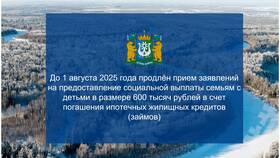 Что относится к бюджетным выплатам в Светофор