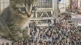 Что означает 