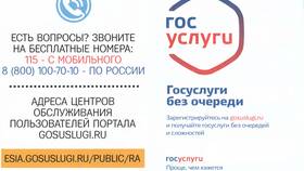 Информация как государственная услуга в Светофор