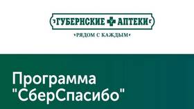 Как набрать баллы СберСпасибо в Светофор