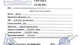 Как написать справку ребенку в школу в Светофор
