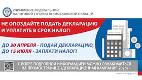 Как найти поданную налоговую декларацию в Светофор
