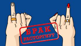 Как оформить развод через Госуслуги при наличии детей в Светофор
