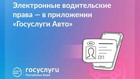 Как оформить водительские права через Госуслуги в Светофор