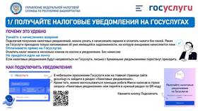 Как подать жалобу на школу через Госуслуги в Светофор