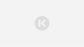 Как рассчитываются дивиденды учредителю ООО в Светофор