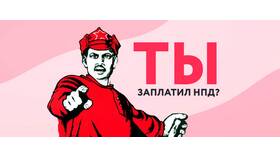 Как сделать доход официальным в Светофор