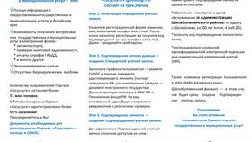 Как скачать СНИЛС с портала Госуслуг в Светофор