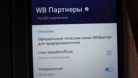 Как связаться с поддержкой Wildberries по телефону в Светофор