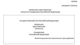 Какие документы можно предоставить вместо паспорта РФ в Светофор