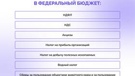 На что распространяется налог в Светофор