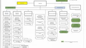 Образовательные организации как юридические лица в Светофор