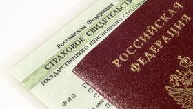 Пенсионный коэффициент 53: что это означает в Светофор