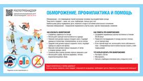 Повредили имущество: что делать в Светофор
