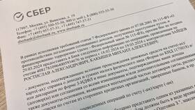 Причины проблем с входом в Сбербанк Онлайн в Светофор