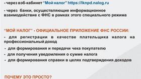 Причины задержки единовременной выплаты в Светофор