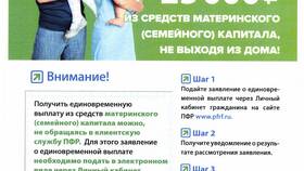 Статус АКТЛ в ПФР: что это значит в Светофор