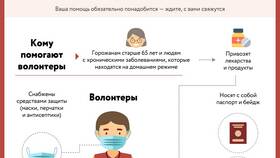 Выплаты добровольцам: актуальная информация в Светофор