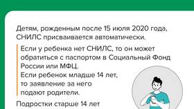 Зачем мошенникам нужен СНИЛС в Светофор