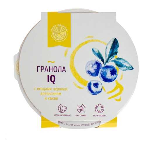 Гранола Fastbrunch IQ с ягодами черники, апельсином и какао 80г Россия в Светофор