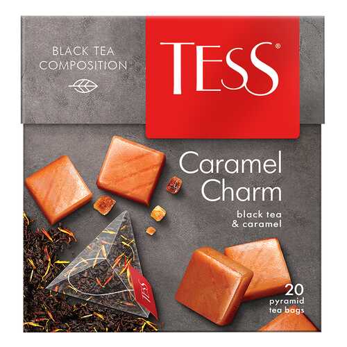 Чай черный в пирамидках Tess Caramel Charm 20 пакетиков в Светофор