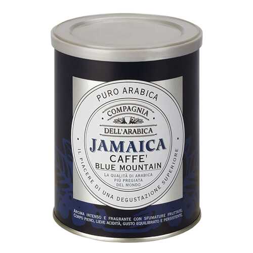 Кофе Compagnia Dell'Arabica Jamaica Blue Mountain молотый 250 г в Светофор